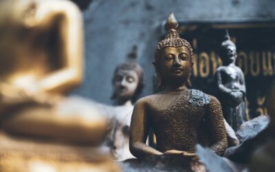 Das Leben meistern mit buddhistischer Psychologie
